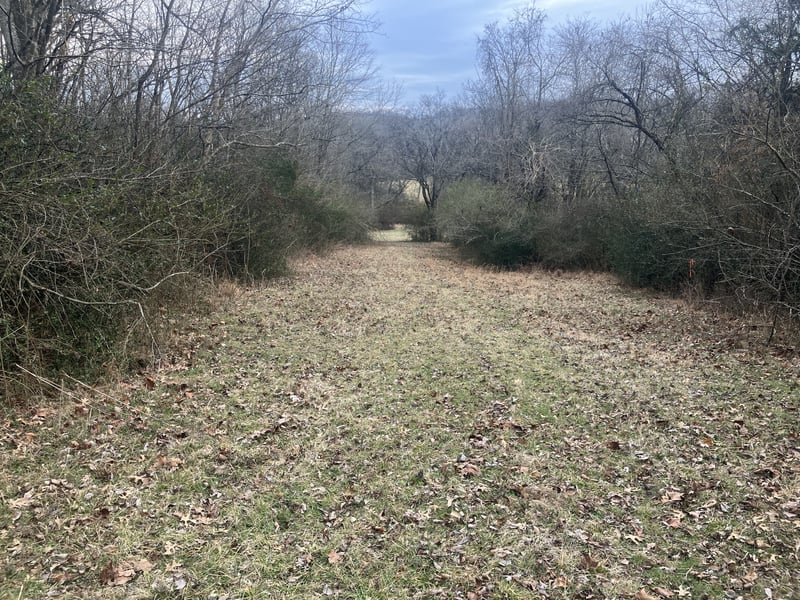 15 Booker Ridge Rd, Mount Pleasant, TN 38474