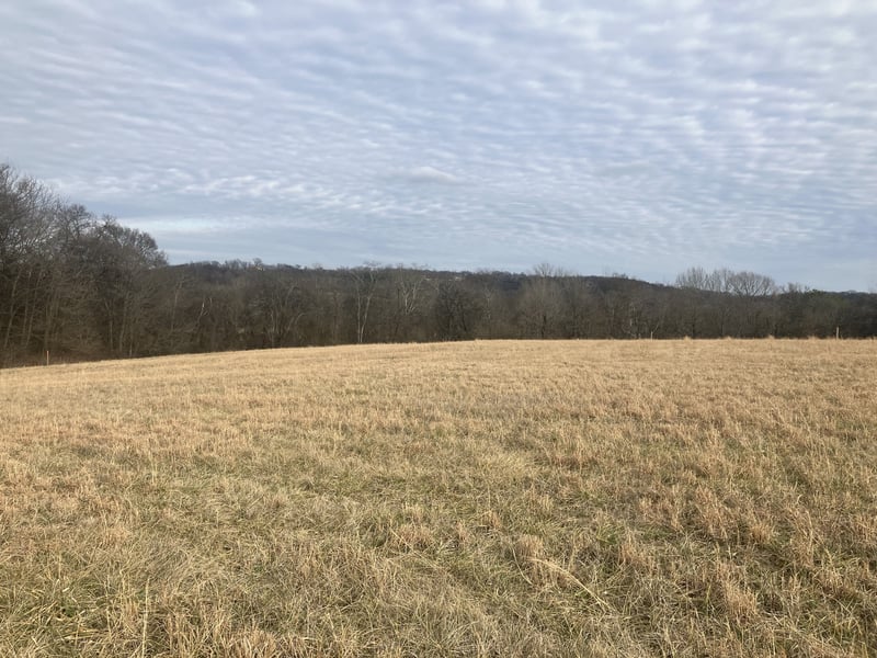 4 Southport Rd, Mount Pleasant, TN 38474