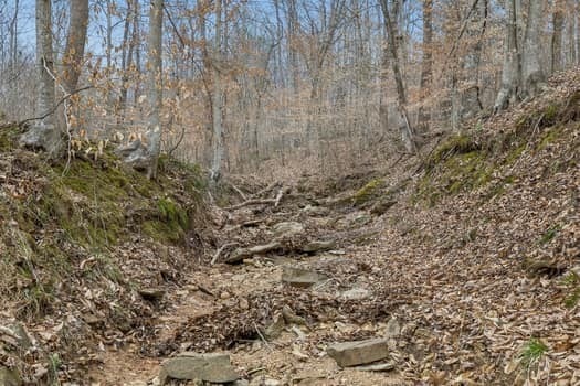 Mosley Ferry Rd, Ashland City, TN 37015