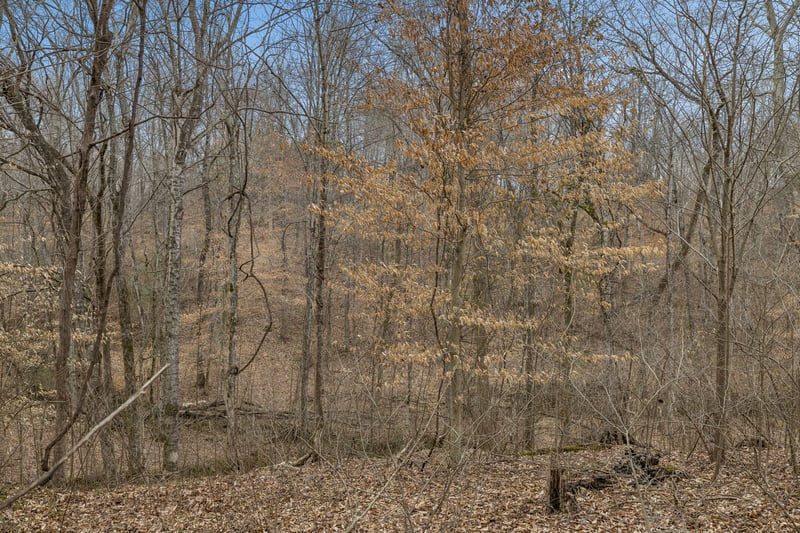 0 Mosley Ferry Rd Lot 2, Ashland City, TN 37015