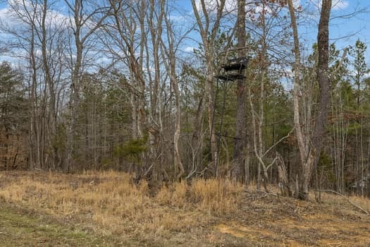 0 Mosley Ferry Rd Lot 3, Ashland City, TN 37015