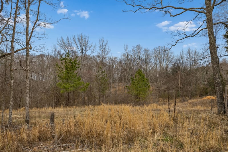 0 Mosley Ferry Rd Lot 3, Ashland City, TN 37015