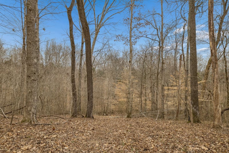0 Mosley Ferry Rd Lot 4, Ashland City, TN 37015