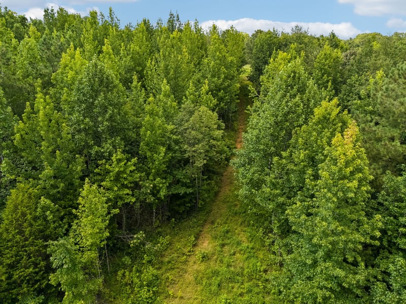 0 Mosley Ferry Rd Lot 4, Ashland City, TN 37015