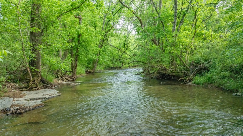 Snow Creek Rd Lot 1C, Santa Fe, TN 38482