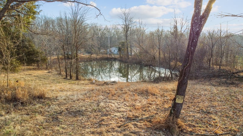 1672 Rabe Coats Rd, Westmoreland, TN 37186