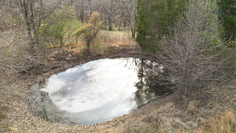 1125 Pleasant Valley Rd, Chapmansboro, TN 37035