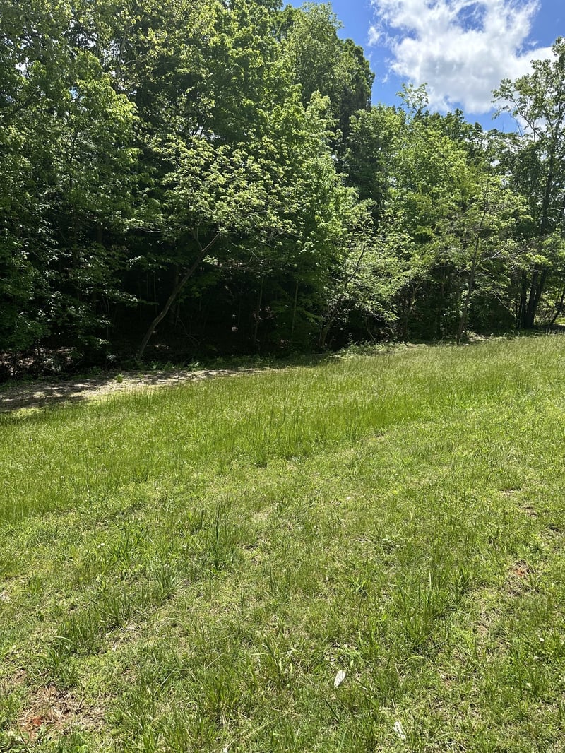 6481 Kelly Willis Rd, Greenbrier, TN 37073