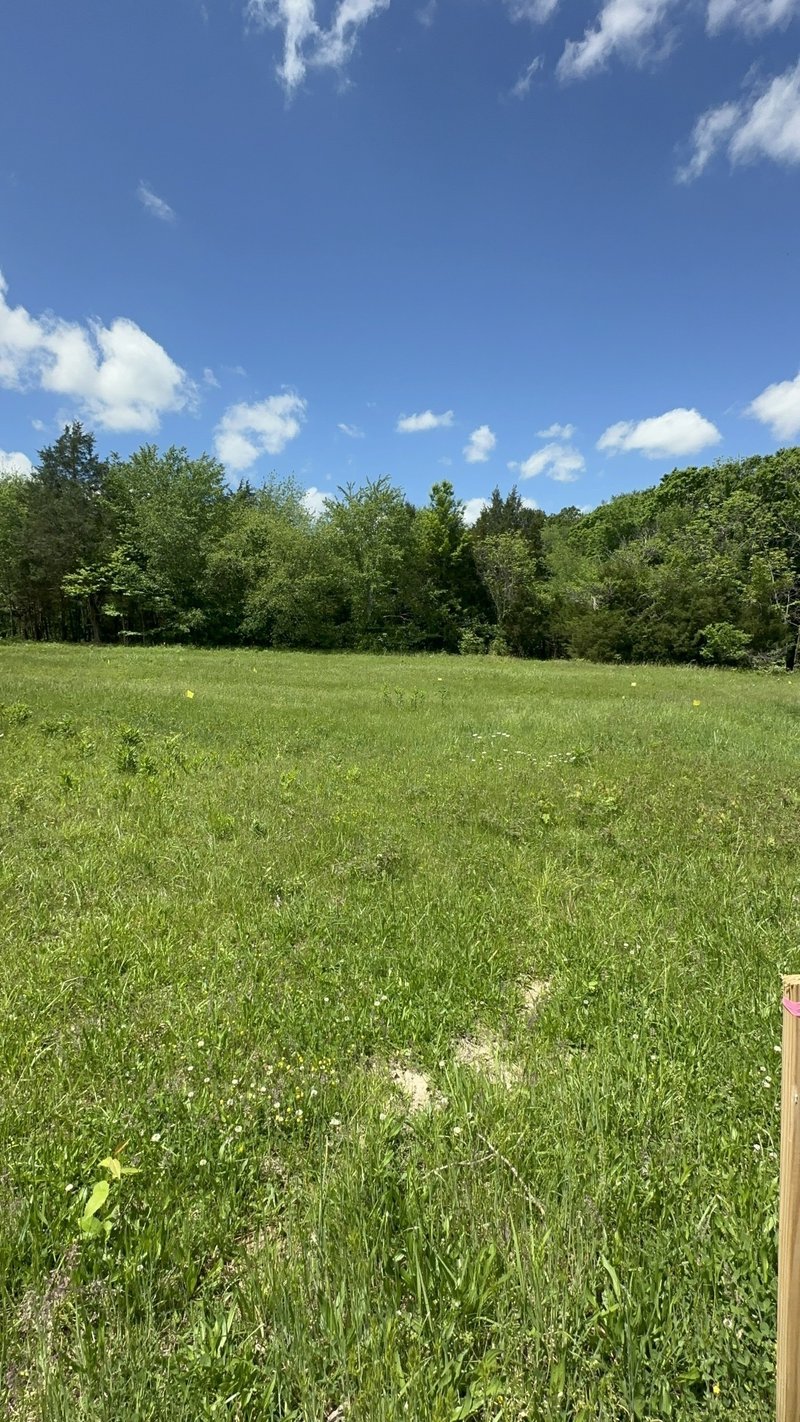 6481 Kelly Willis Rd, Greenbrier, TN 37073