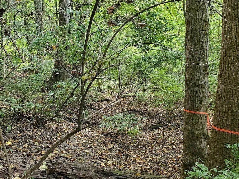 6621 Chatsworth Pl, Nashville, TN 37205