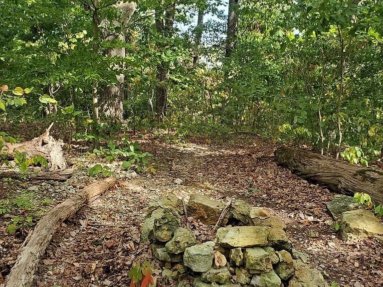 6621 Chatsworth Pl, Nashville, TN 37205