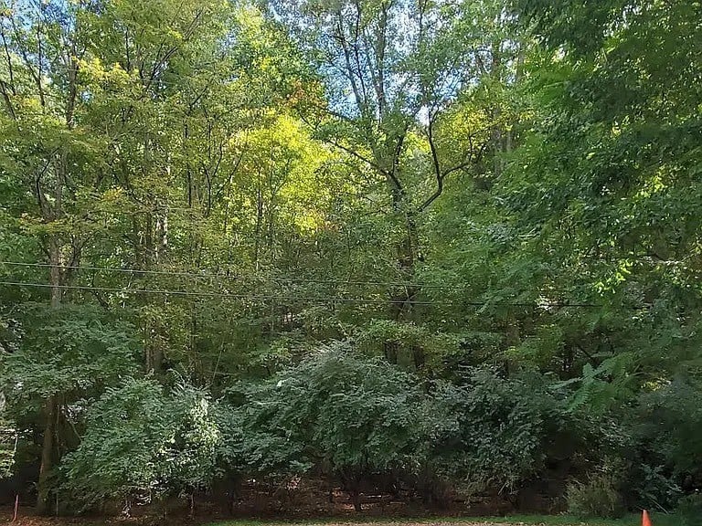 6621 Chatsworth Pl, Nashville, TN 37205