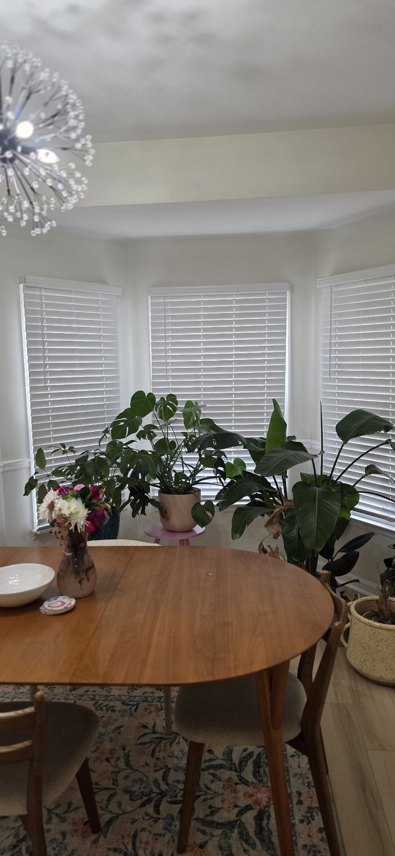 3277 Priest Woods Dr, Nashville, TN 37214