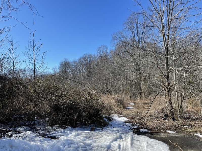 0 Kacie Dr, Pleasant View, TN 37146