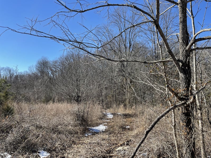 0 Kacie Dr, Pleasant View, TN 37146