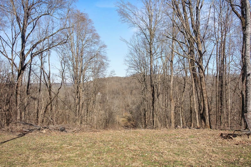 5076 Southpoint Ridge Rd, Hampshire, TN 38461