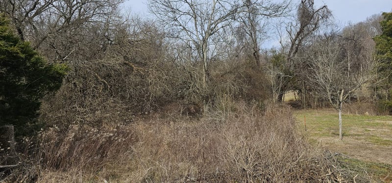 11 Center Point Rd, Hendersonville, TN 37075