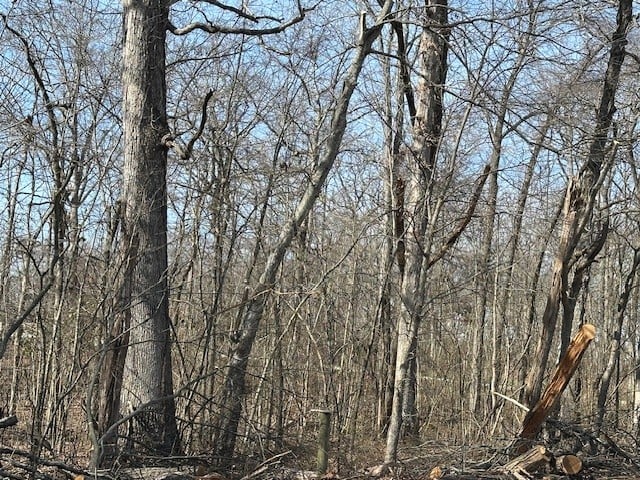 0 Pinewood Rd, Primm Springs, TN 38476