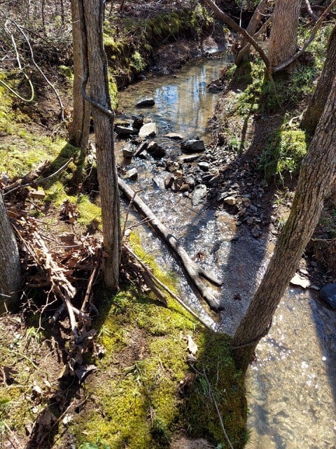 0 Pinewood Rd, Primm Springs, TN 38476