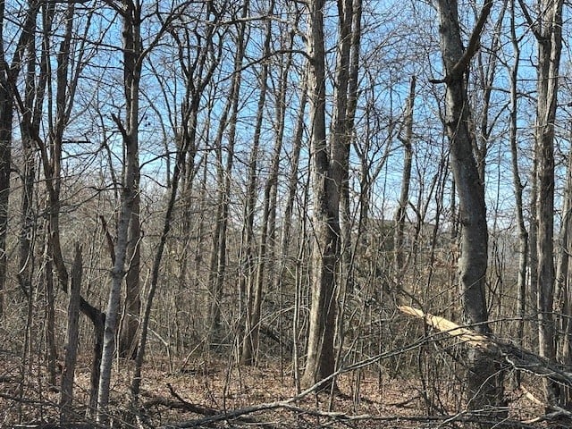 0 Pinewood Rd, Primm Springs, TN 38476