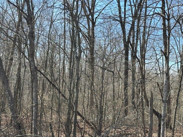 0 Pinewood Rd, Primm Springs, TN 38476