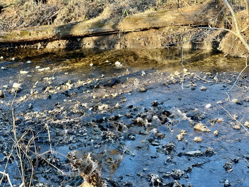 3318 Maxey Rd, Cedar Hill, TN 37032