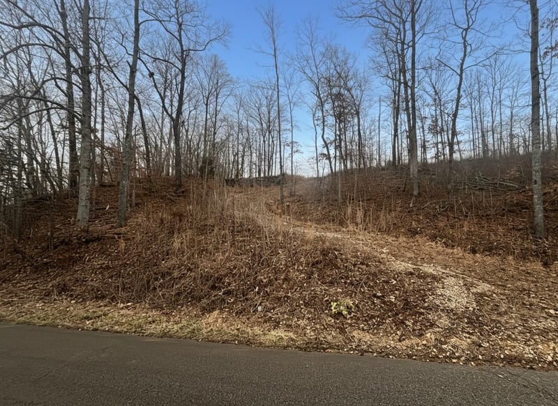 0 Brown Mill Rd, Mc Ewen, TN 37101