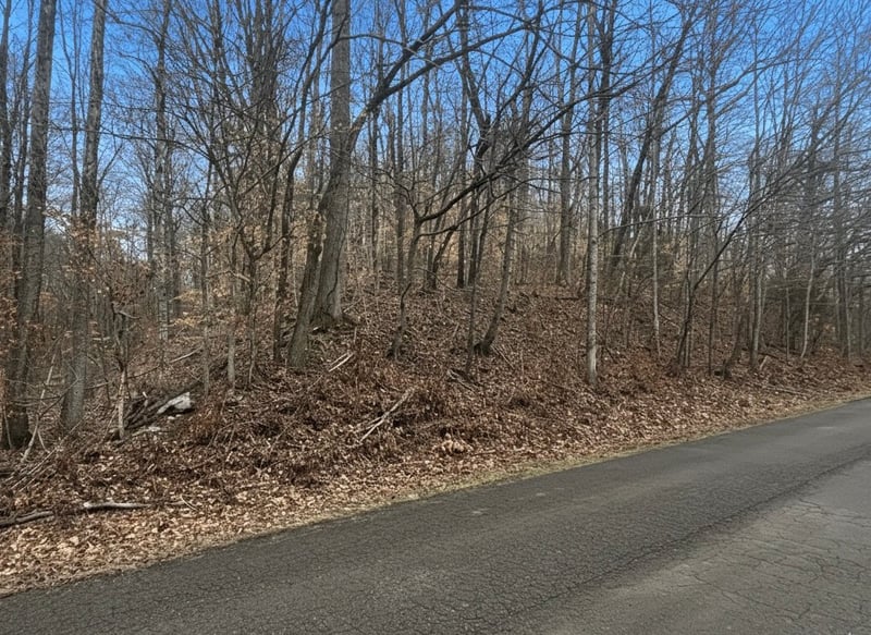 0 Brown Mill Rd, Mc Ewen, TN 37101