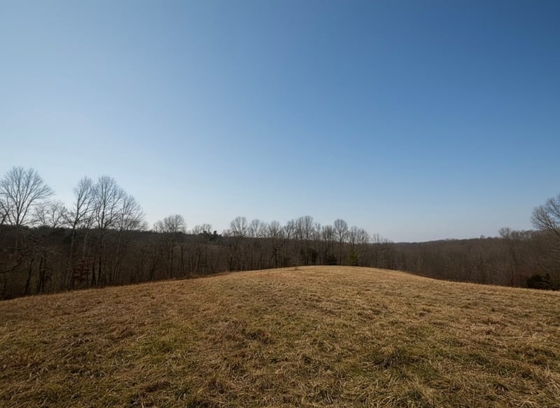 0 Brown Mill Rd, Mc Ewen, TN 37101