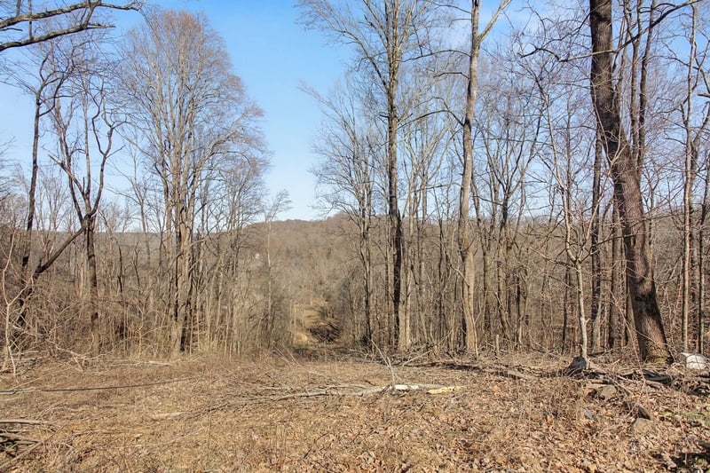 5076 Southpoint Ridge Rd, Hampshire, TN 38461