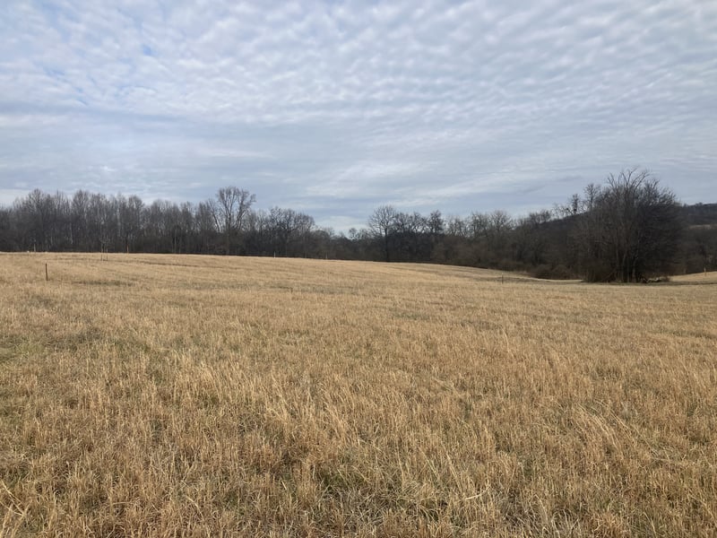 6 Southport Rd, Mount Pleasant, TN 38474