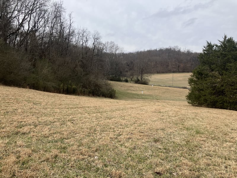 13 Booker Ridge Rd, Mount Pleasant, TN 38474