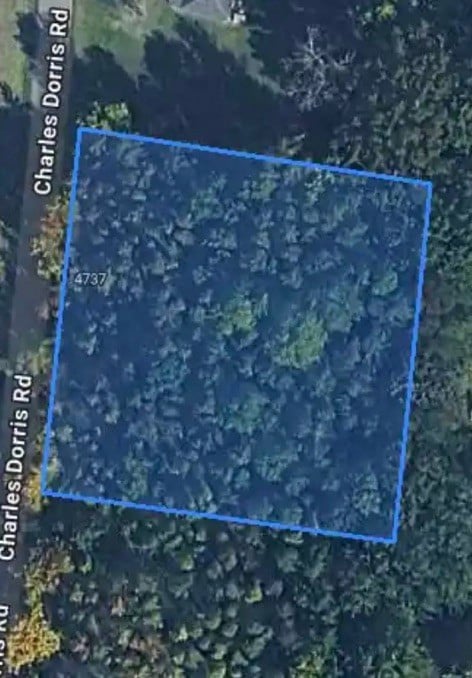 Charles Dorris Rd, Springfield, TN 37172