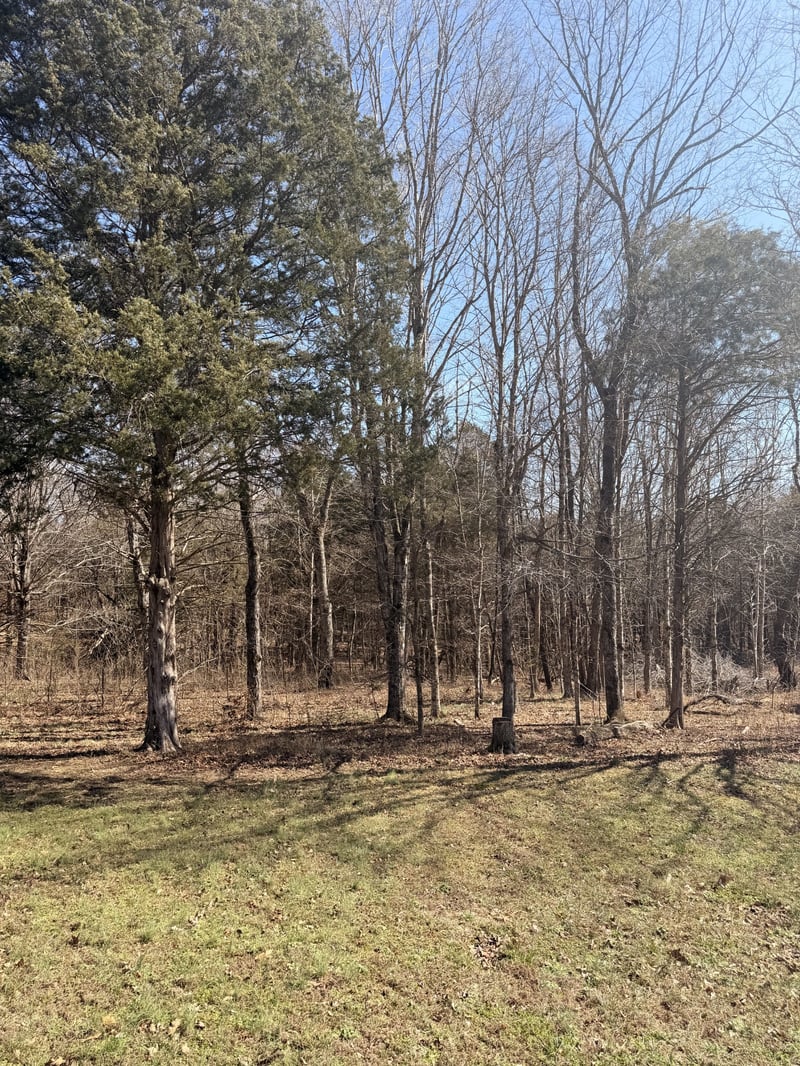 0 Gallion Rd, Cumberland Furnace, TN 37051