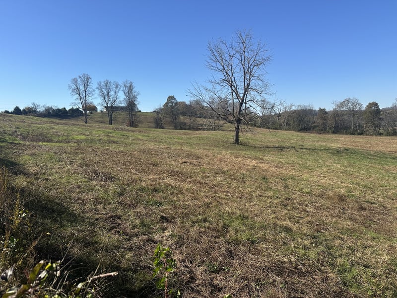 Mcclures Bend Ln, Carthage, TN 37030