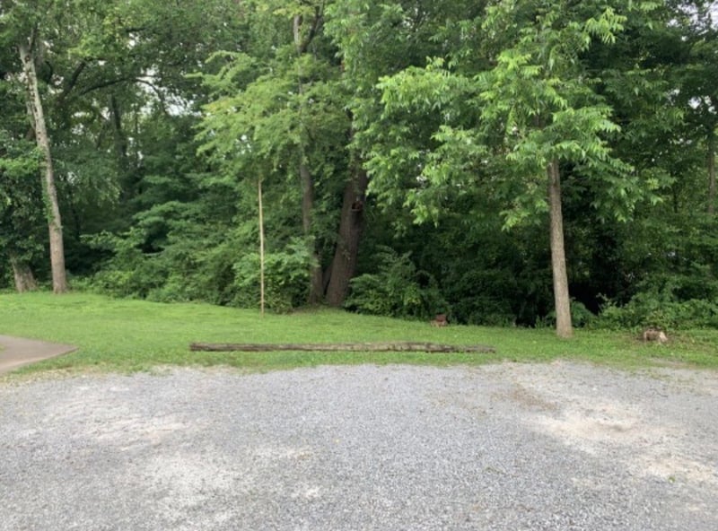 920 Ewing Blvd, Murfreesboro, TN 37130