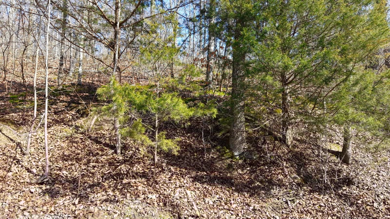 Hwy 100 , Nashville, TN 37221