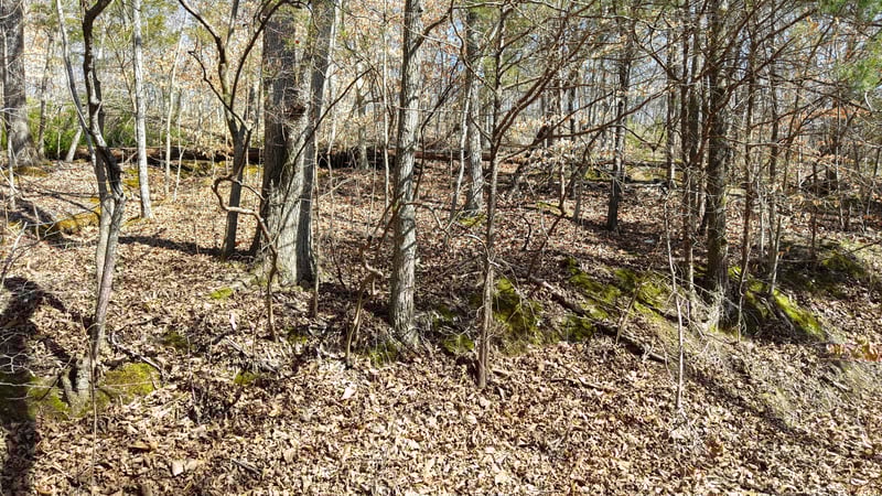 Hwy 100 , Nashville, TN 37221