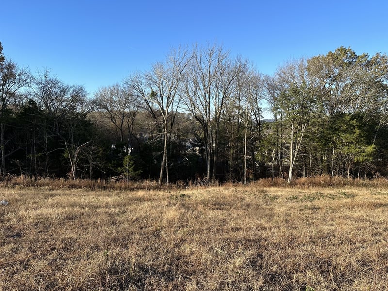 8095 Mountaintop Dr, College Grove, TN 37046