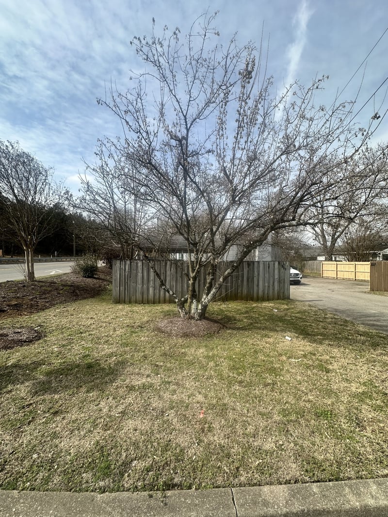 901 Patio Dr, Nashville, TN 37214