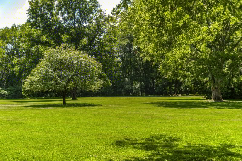 7723 Old Springfield Pike, Goodlettsville, TN 37072