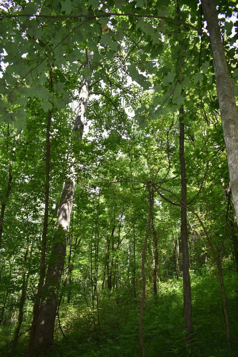 0 Nascar Ln, Pleasant Shade, TN 37145