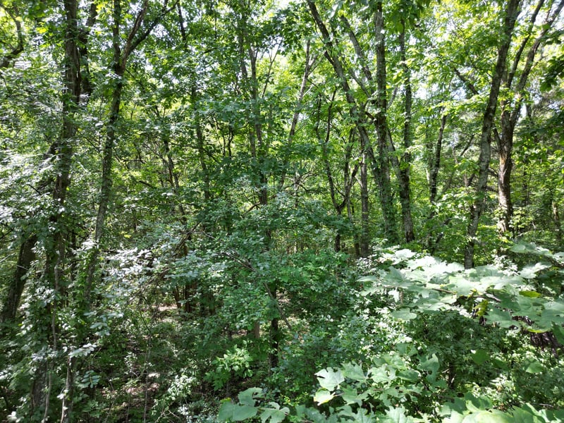 4025 Leanna Rd, Murfreesboro, TN 37129