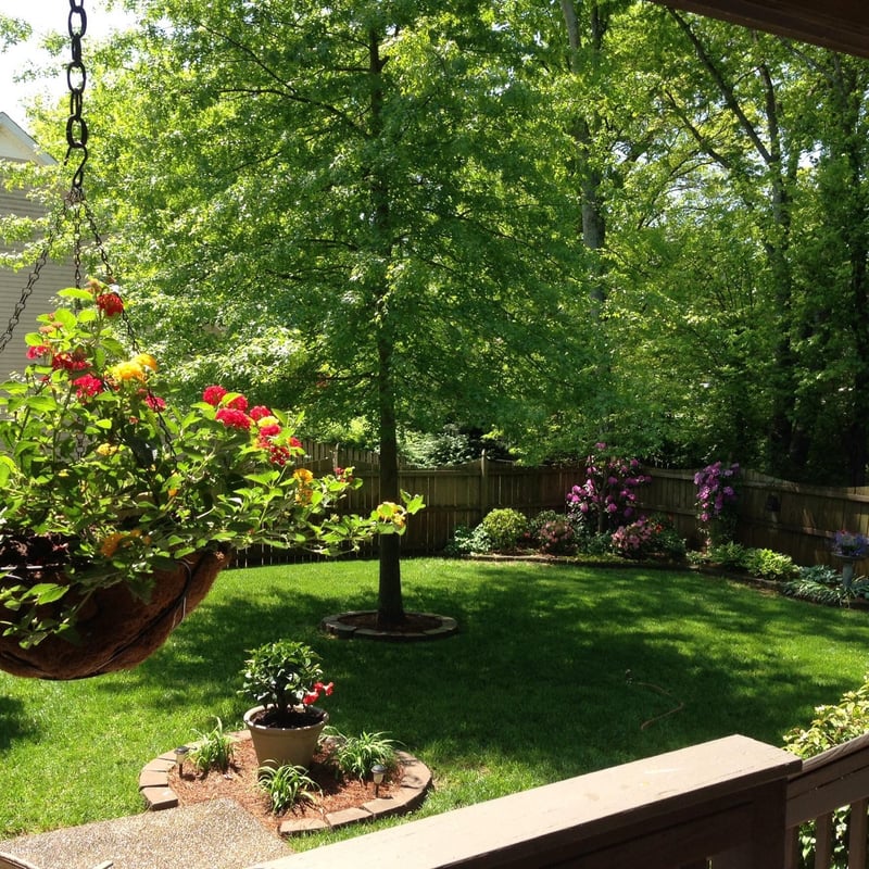 1905 Bunbury Ct, Thompsons Station, TN 37179