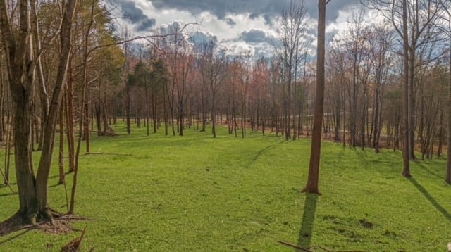 7886 Bill Moss Rd, White House, TN 37188