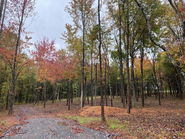 7878 Bill Moss Rd, White House, TN 37188