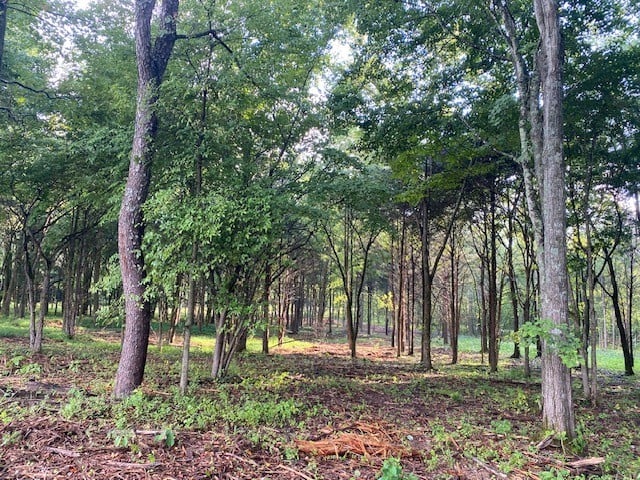 7878 Bill Moss Rd, White House, TN 37188