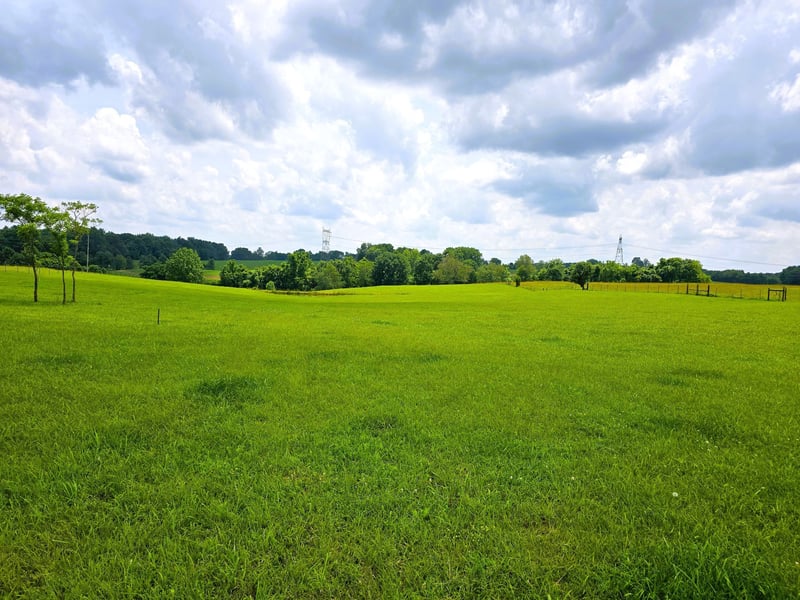 7373 New Chapel Rd, Springfield, TN 37172