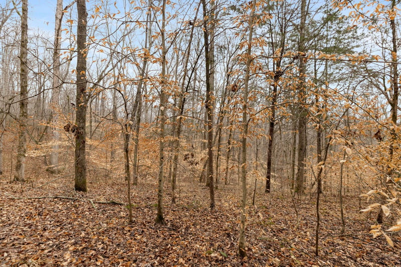 Griffintown Rd, White Bluff, TN 37187