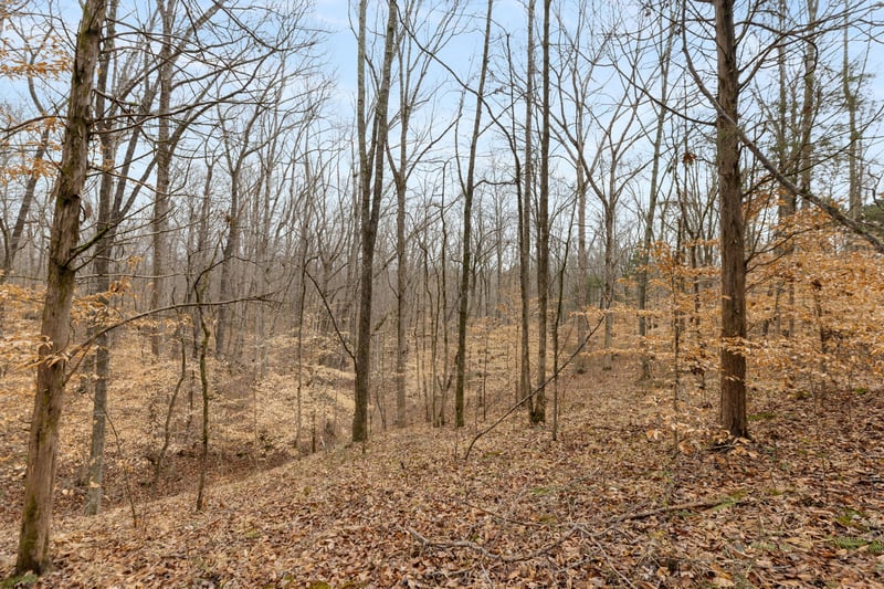 Griffintown Rd, White Bluff, TN 37187